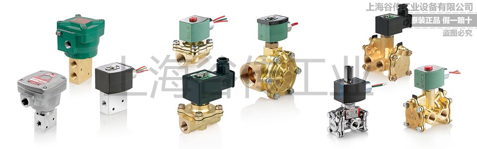 1705977956942635.jpg 960x300 加水印 (1).jpg